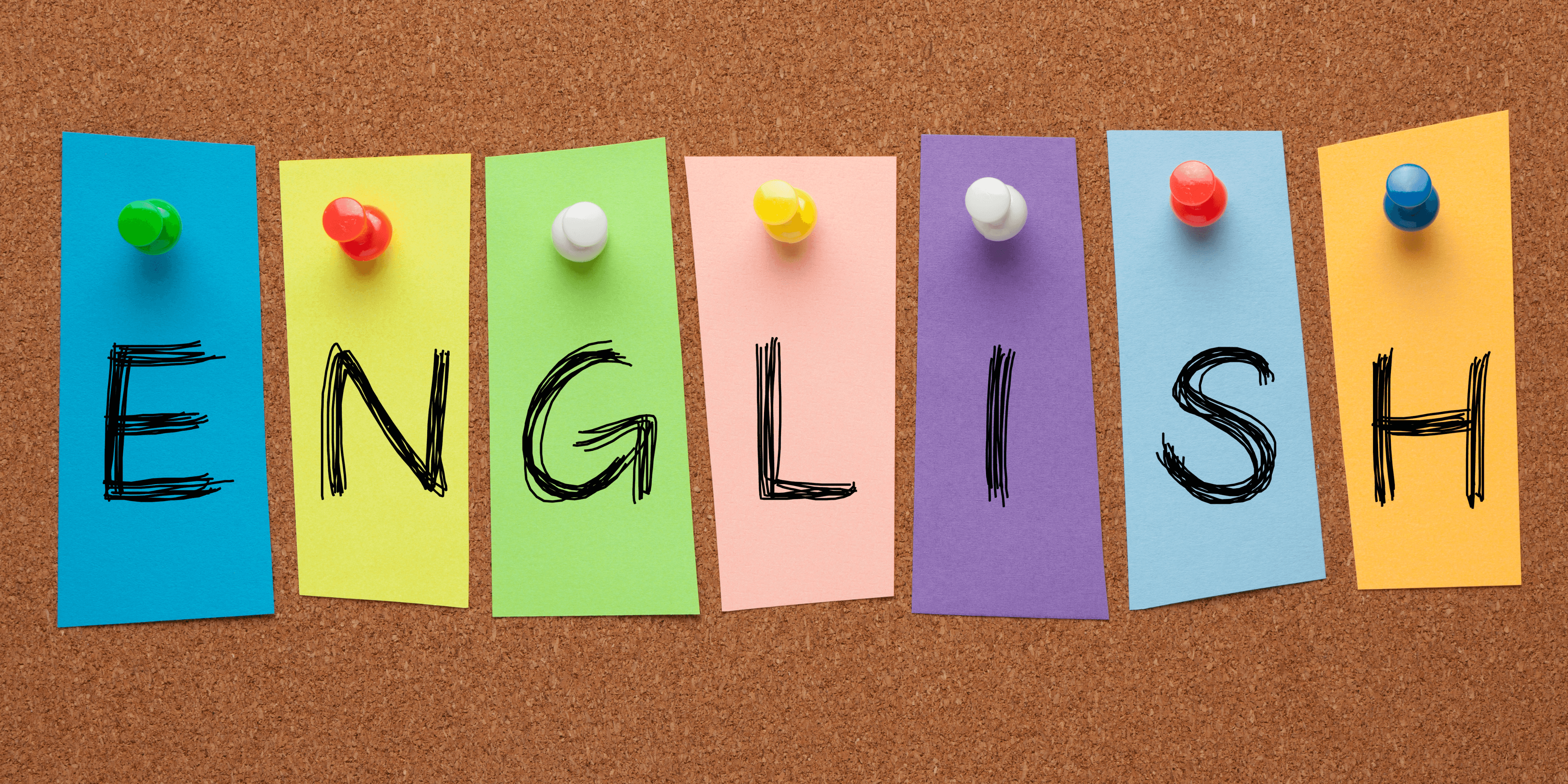 186 english partner.png