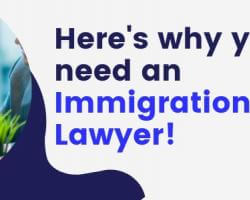 Why you need an immigration lawyer