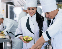 cheftoPR.png